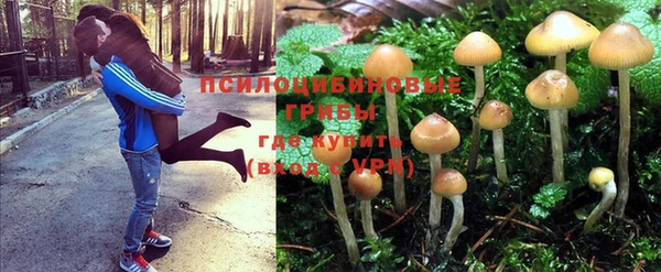 ГАЛЛЮЦИНОГЕННЫЕ ГРИБЫ Абдулино